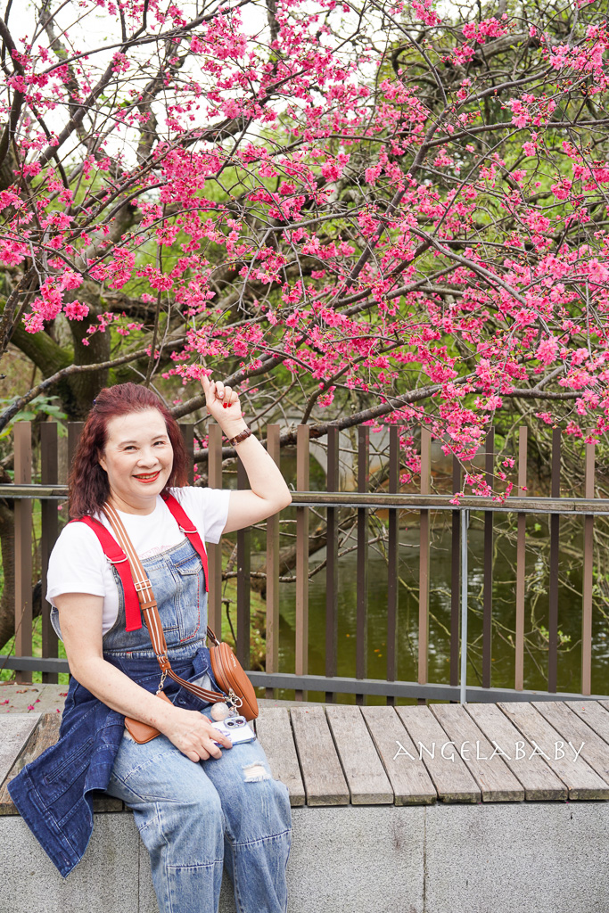 桃園賞櫻推薦『中央大學』中大湖畔的日本友好之櫻 @梅格(Angelababy)享樂日記 桃園賞櫻推薦『中央大學』中大湖畔的日本友好之櫻 @梅格(Angelababy)享樂日記