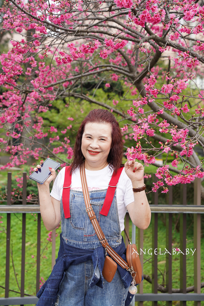 桃園賞櫻推薦『中央大學』中大湖畔的日本友好之櫻 @梅格(Angelababy)享樂日記