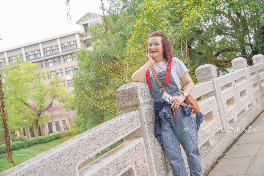 桃園賞櫻推薦『中央大學』中大湖畔的日本友好之櫻 @梅格(Angelababy)享樂日記