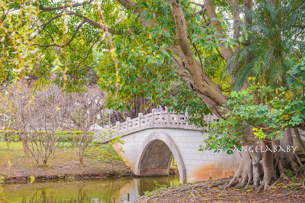 桃園賞櫻推薦『中央大學』中大湖畔的日本友好之櫻 @梅格(Angelababy)享樂日記 桃園賞櫻推薦『中央大學』中大湖畔的日本友好之櫻 @梅格(Angelababy)享樂日記