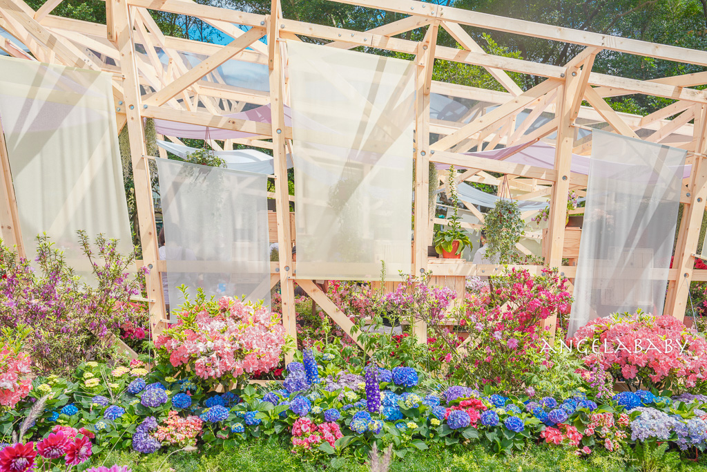 台北免費賞花｜大安森林公園繡球花、杜鵑花季 不容錯過的夢幻百花花園（花季至3/31) @梅格(Angelababy)享樂日記