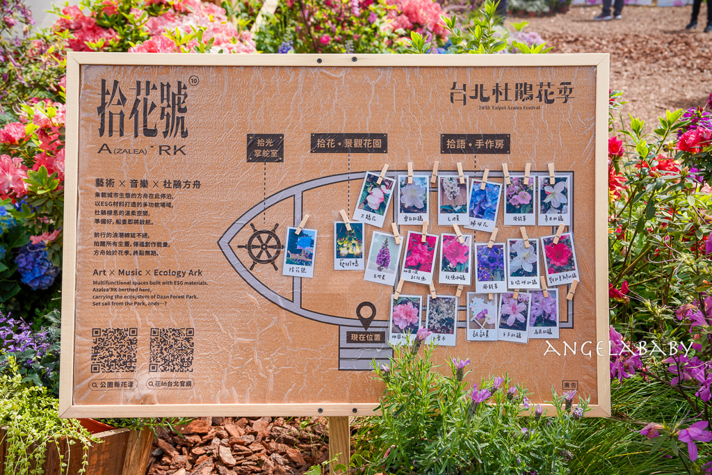 台北免費賞花｜大安森林公園繡球花、杜鵑花季 不容錯過的夢幻百花花園（花季至3/31) @梅格(Angelababy)享樂日記