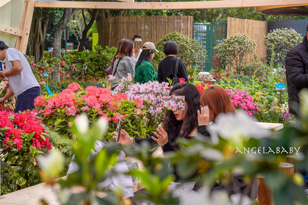 台北免費賞花｜大安森林公園繡球花、杜鵑花季 不容錯過的夢幻百花花園（花季至3/31) @梅格(Angelababy)享樂日記