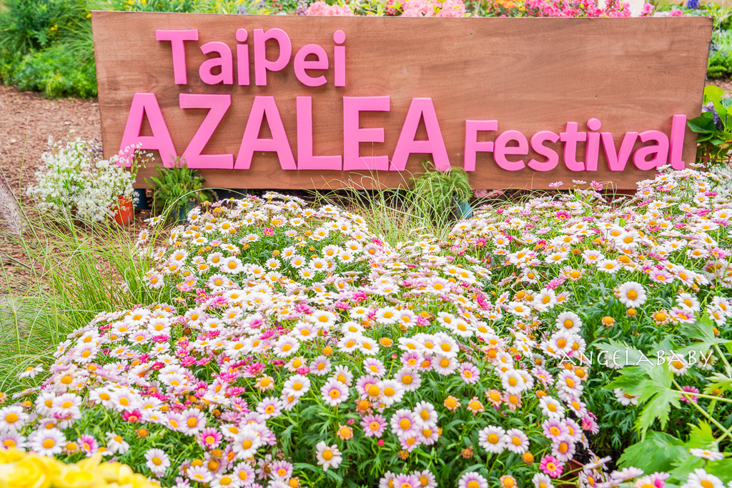 台北免費賞花｜大安森林公園繡球花、杜鵑花季 不容錯過的夢幻百花花園（花季至3/31) @梅格(Angelababy)享樂日記