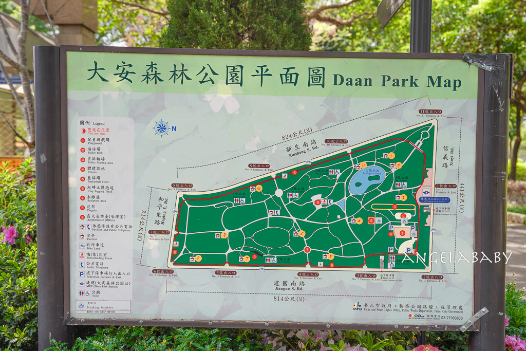 台北免費賞花｜大安森林公園繡球花、杜鵑花季 不容錯過的夢幻百花花園（花季至3/31) @梅格(Angelababy)享樂日記