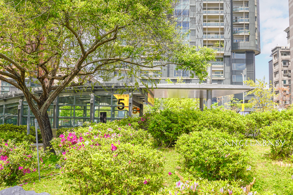 台北免費賞花｜大安森林公園繡球花、杜鵑花季 不容錯過的夢幻百花花園（花季至3/31) @梅格(Angelababy)享樂日記