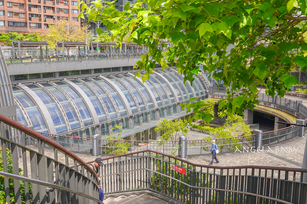 台北免費賞花｜大安森林公園繡球花、杜鵑花季 不容錯過的夢幻百花花園（花季至3/31) @梅格(Angelababy)享樂日記