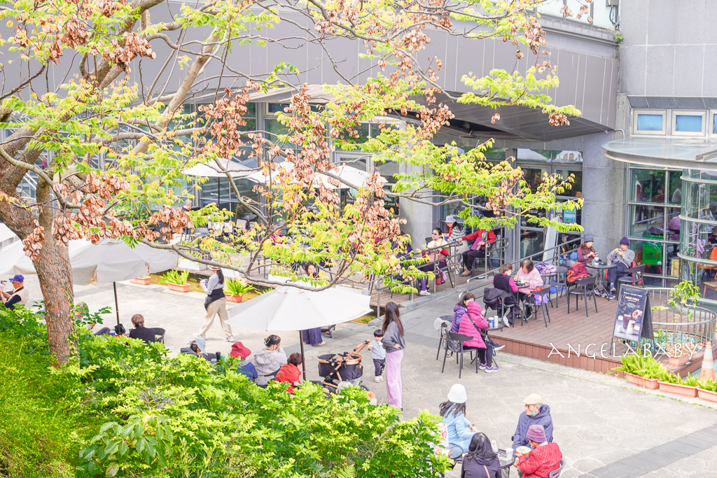 台北免費賞花｜大安森林公園繡球花、杜鵑花季 不容錯過的夢幻百花花園（花季至3/31) @梅格(Angelababy)享樂日記