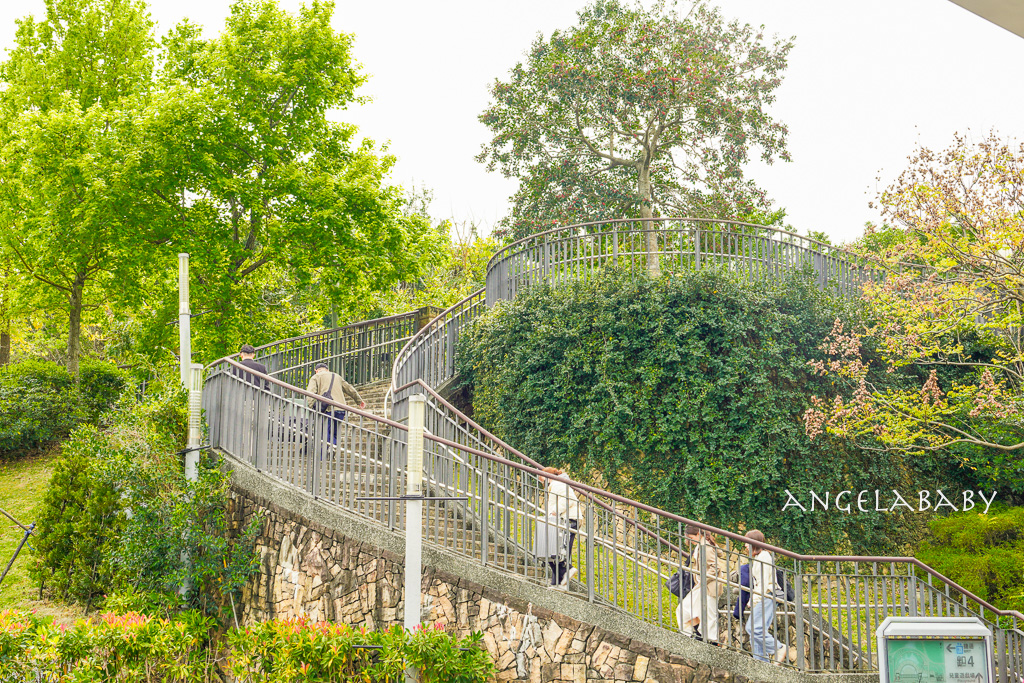 台北免費賞花｜大安森林公園繡球花、杜鵑花季 不容錯過的夢幻百花花園（花季至3/31) @梅格(Angelababy)享樂日記