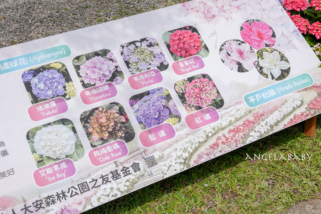 台北免費賞花｜大安森林公園繡球花、杜鵑花季 不容錯過的夢幻百花花園（花季至3/31) @梅格(Angelababy)享樂日記