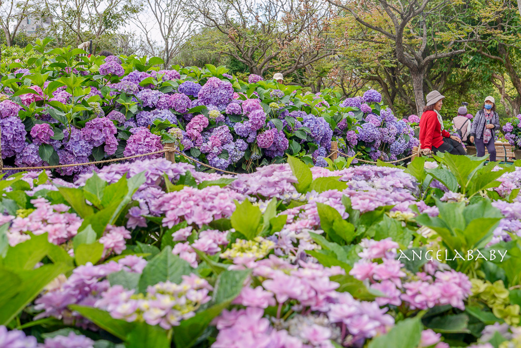 鹿港美食｜飄香在第五十年的爆料肉羹『鹿港肉焿泉』價格、加上豬肉炸有夠好吃 @梅格(Angelababy)享樂日記