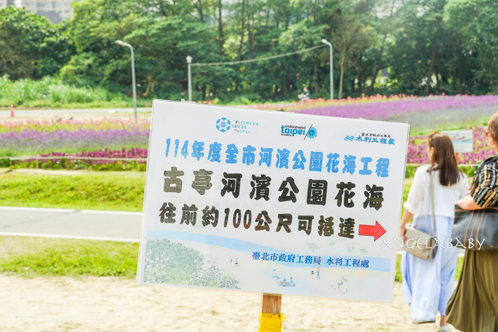 台北免費賞花推薦｜台版普羅旺斯『古亭河濱公園』24萬株花朵齊放夢幻如花毯 @梅格(Angelababy)享樂日記