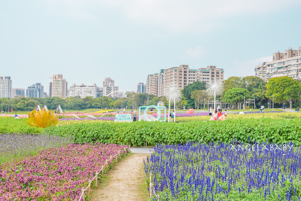 台北免費賞花推薦｜台版普羅旺斯『古亭河濱公園』24萬株花朵齊放夢幻如花毯 @梅格(Angelababy)享樂日記