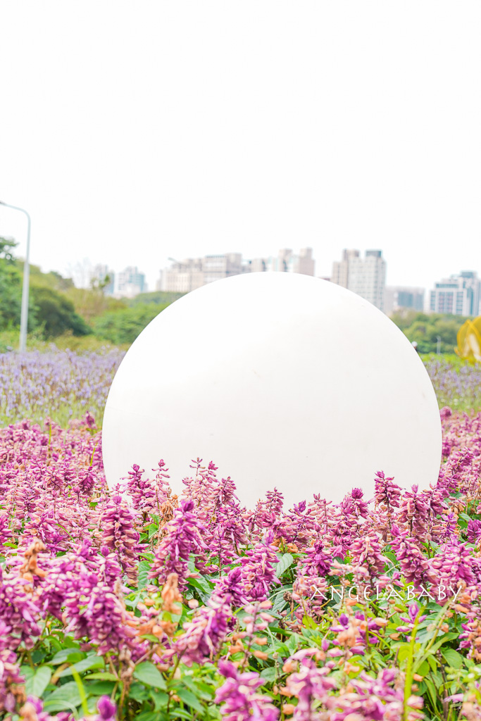 台北免費賞花推薦｜台版普羅旺斯『古亭河濱公園』24萬株花朵齊放夢幻如花毯 @梅格(Angelababy)享樂日記