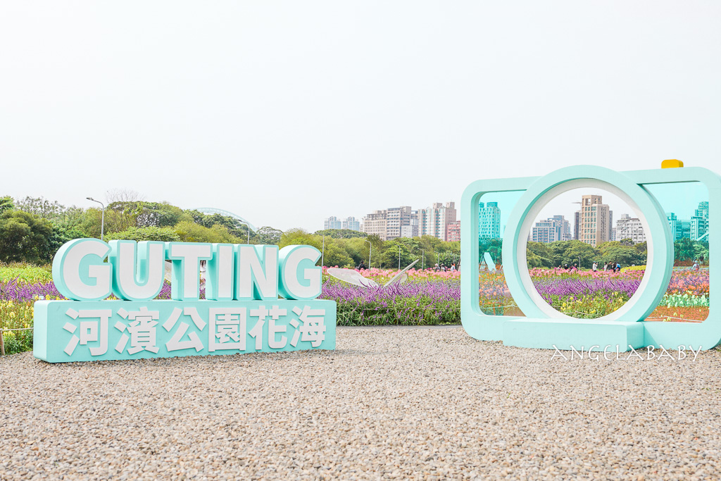 台北免費賞花推薦｜台版普羅旺斯『古亭河濱公園』24萬株花朵齊放夢幻如花毯 @梅格(Angelababy)享樂日記