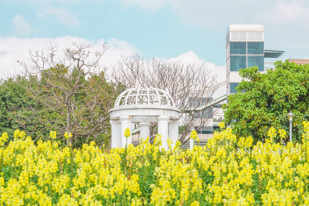 台北免費賞花推薦｜台版普羅旺斯『古亭河濱公園』24萬株花朵齊放夢幻如花毯 @梅格(Angelababy)享樂日記