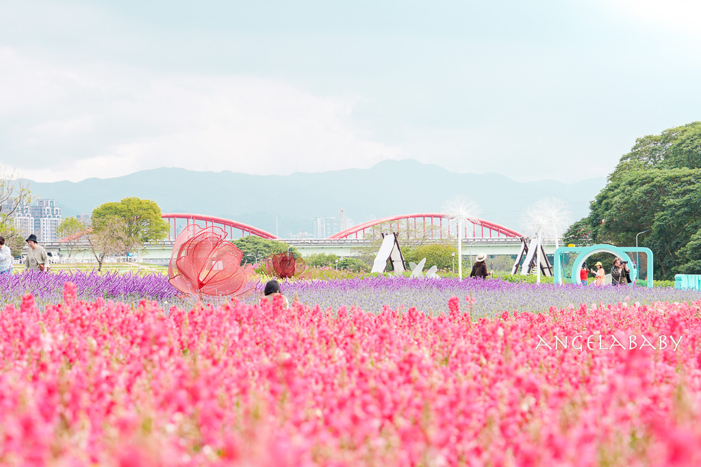 南投埔里甜點、伴手禮｜手作限量好吃甜點塔、玫瑰檸檬塔『de GRATO檸檬塔專賣店』 瀾島價格、優惠 @梅格(Angelababy)享樂日記