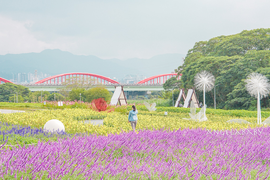 台北免費賞花推薦｜台版普羅旺斯『古亭河濱公園』24萬株花朵齊放夢幻如花毯 @梅格(Angelababy)享樂日記