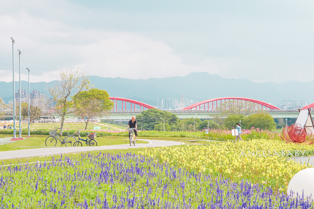 台北免費賞花推薦｜台版普羅旺斯『古亭河濱公園』24萬株花朵齊放夢幻如花毯 @梅格(Angelababy)享樂日記