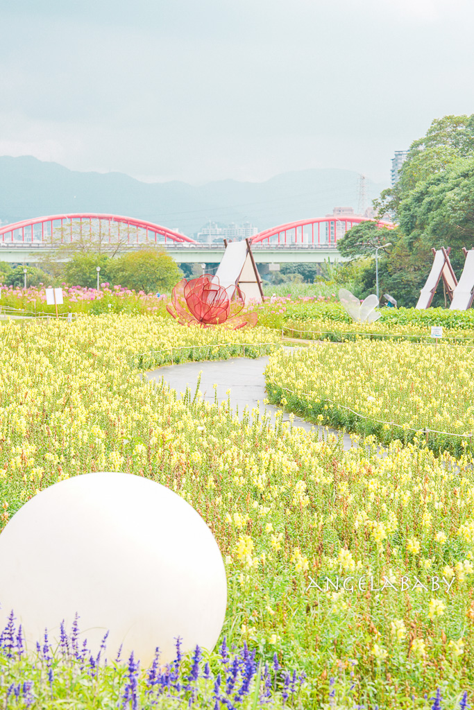 台北免費賞花推薦｜台版普羅旺斯『古亭河濱公園』24萬株花朵齊放夢幻如花毯 @梅格(Angelababy)享樂日記