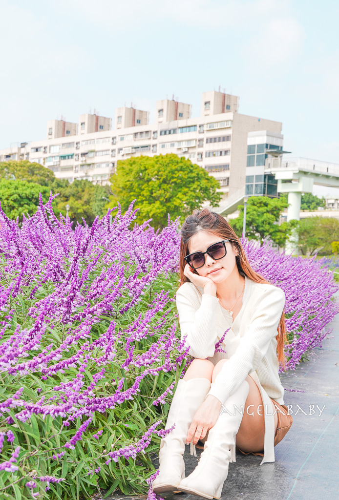 台北免費賞花推薦｜台版普羅旺斯『古亭河濱公園』24萬株花朵齊放夢幻如花毯 @梅格(Angelababy)享樂日記