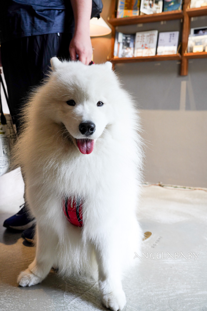 新竹咖啡｜日式侘寂風咖啡廳『東河咖啡Donghe』菜單 @梅格(Angelababy)享樂日記