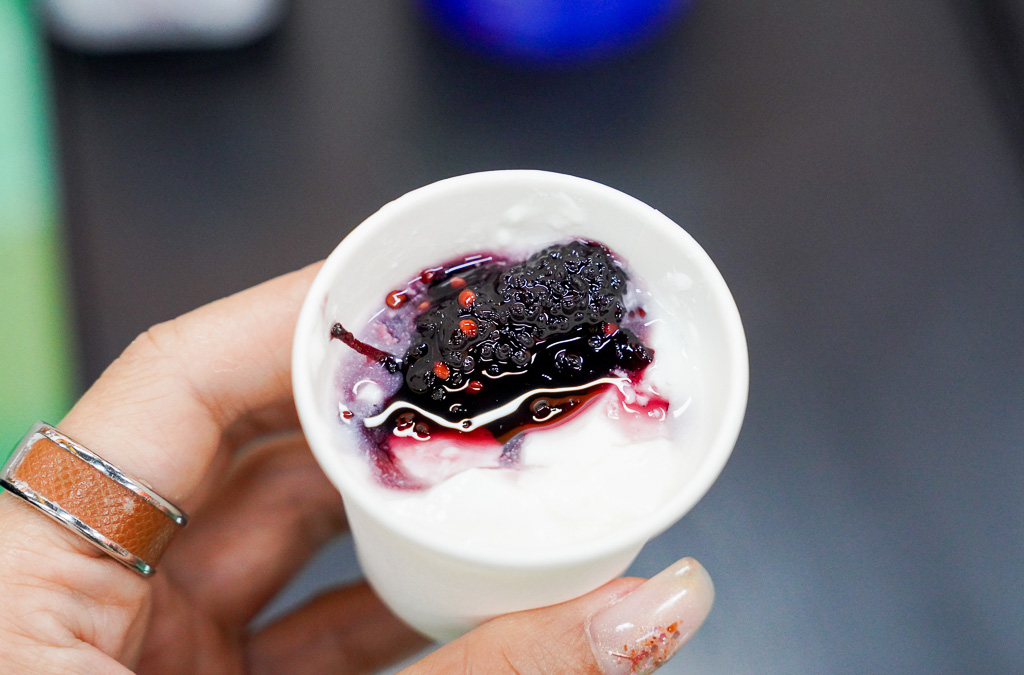 苗栗親子旅遊兩天一日遊推薦｜四方牧場、南庄蘇維拉莊園、南庄老街、再到全台最大室內遊樂場『尚順育樂天地』消耗卡路里、務必參加『愛玩苗栗』打卡活動抽大獎 @梅格(Angelababy)享樂日記