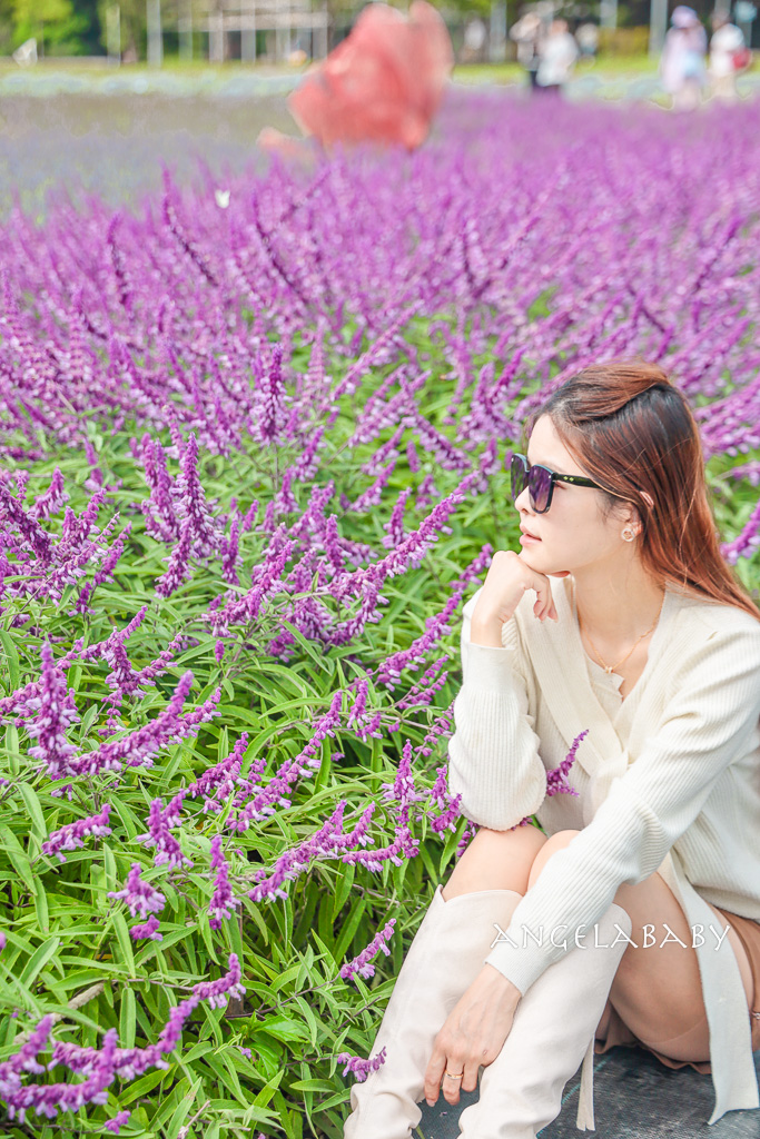 台北免費賞花推薦｜台版普羅旺斯『古亭河濱公園』24萬株花朵齊放夢幻如花毯 @梅格(Angelababy)享樂日記