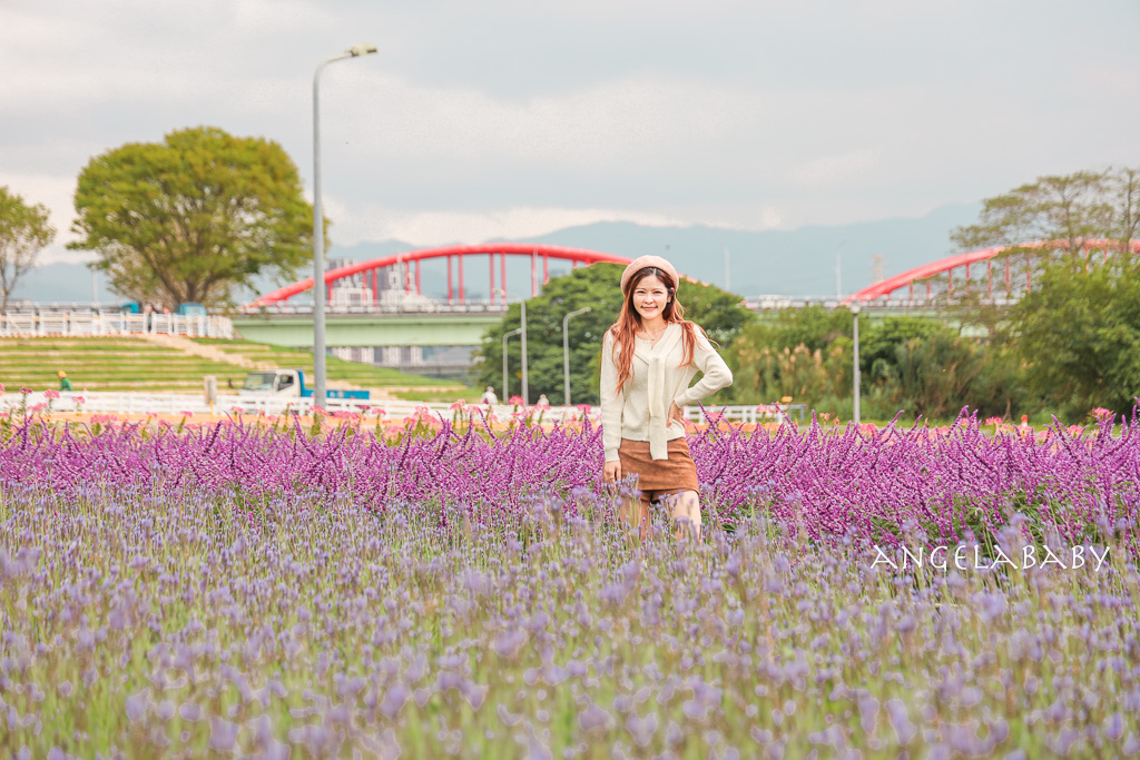 台北免費賞花推薦｜台版普羅旺斯『古亭河濱公園』24萬株花朵齊放夢幻如花毯 @梅格(Angelababy)享樂日記
