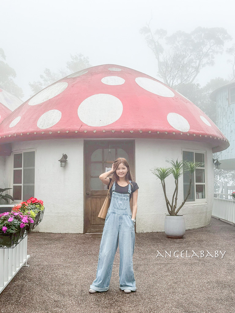 苗栗親子旅遊兩天一日遊推薦｜四方牧場、南庄蘇維拉莊園、南庄老街、再到全台最大室內遊樂場『尚順育樂天地』消耗卡路里、務必參加『愛玩苗栗』打卡活動抽大獎 @梅格(Angelababy)享樂日記