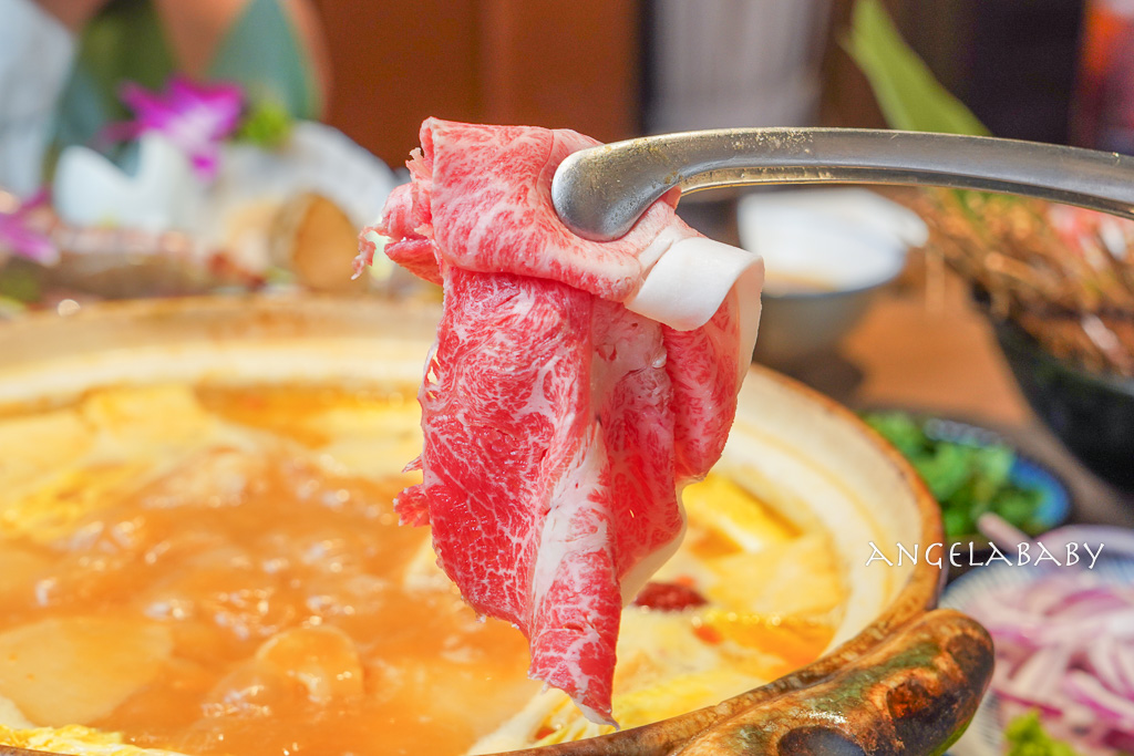 台北最強雞湯火鍋『星曜雞湯』雞湯界的LV、用熬雞精煮火鍋、母親節聚餐推薦、最新優惠 @梅格(Angelababy)享樂日記