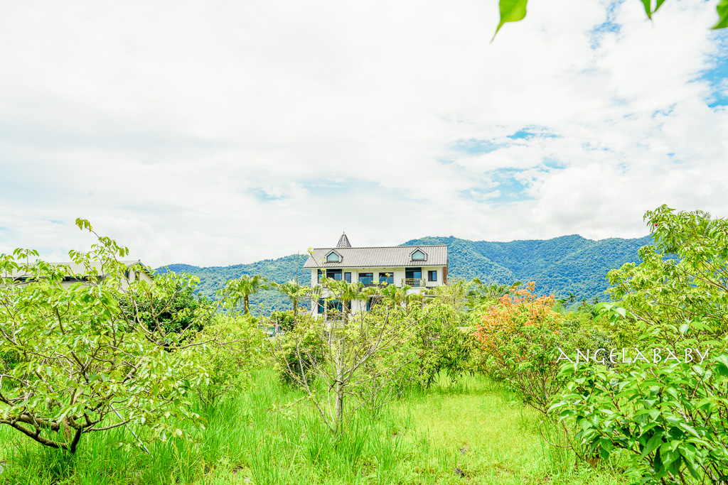 宜蘭三星住宿『德國鄉村莊園』訂房、歐風獨棟庭園別墅體驗採果、戲水、星級手藝餐點推薦 @梅格(Angelababy)享樂日記