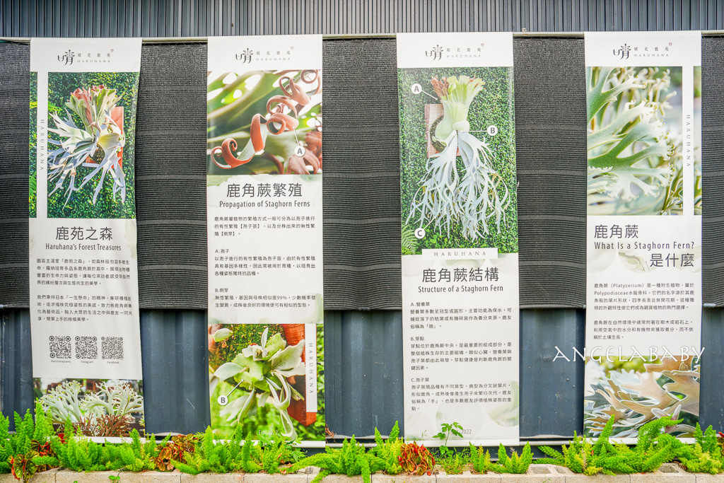 新開幕新北淡水『晴花鹿苑』日式庭院景觀咖啡、菜單 @梅格(Angelababy)享樂日記