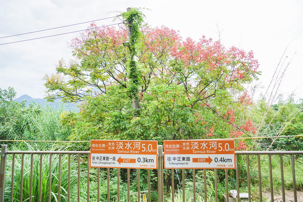 淡水輕軌交通聯票讓你50元交通吃到飽｜淡水旅遊、「一日券、優惠圈」太超值（超過價值1500元的優惠回饋）、淡水限定交通票、淡水美食、淡水一日遊行程規劃、全台第一幾米藝術鐵道 @梅格(Angelababy)享樂日記